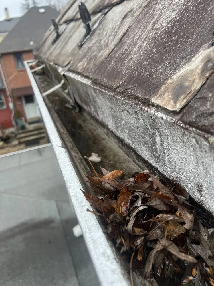 Slide of Gutter Genies