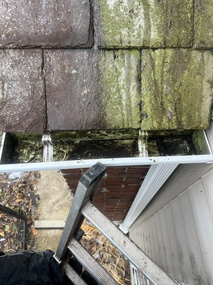 Slide of Gutter Genies