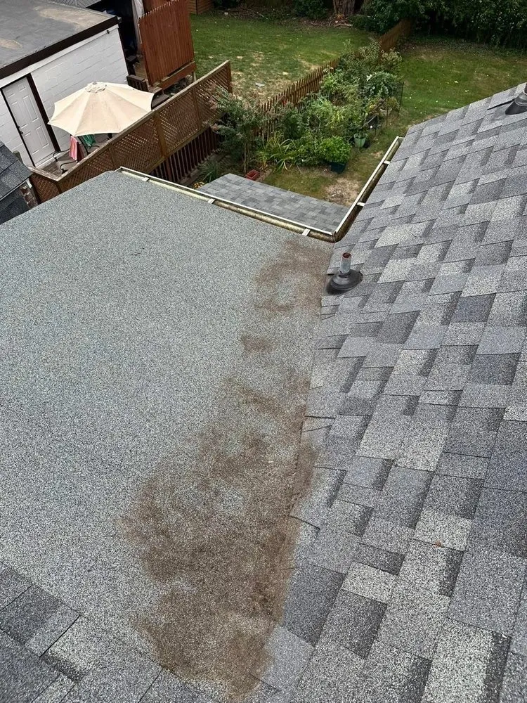 Slide of Gutter Genies