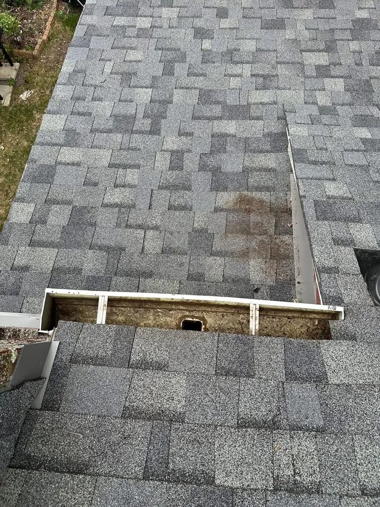 Slide of Gutter Genies