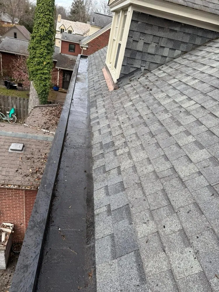 Slide of Gutter Genies