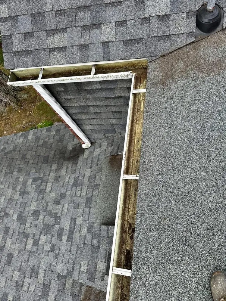 Slide of Gutter Genies