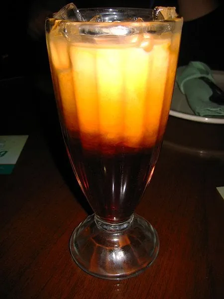 Slide of Gutter Gurus