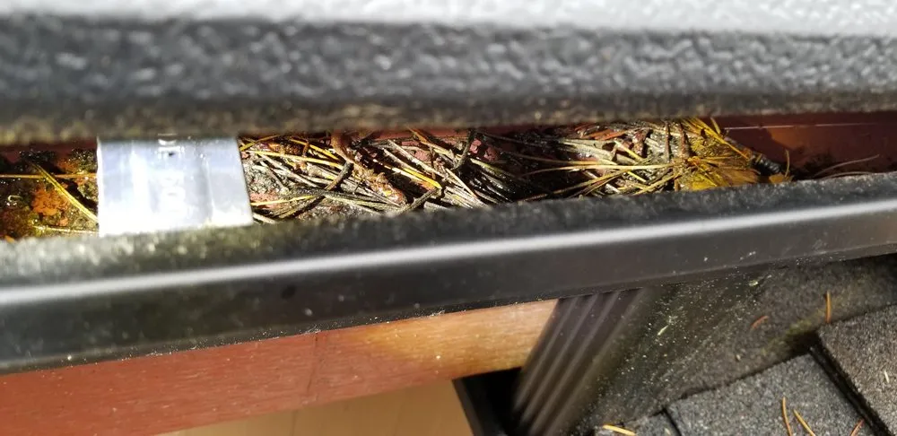 Slide of Gutter Helmet by Harry Helmet