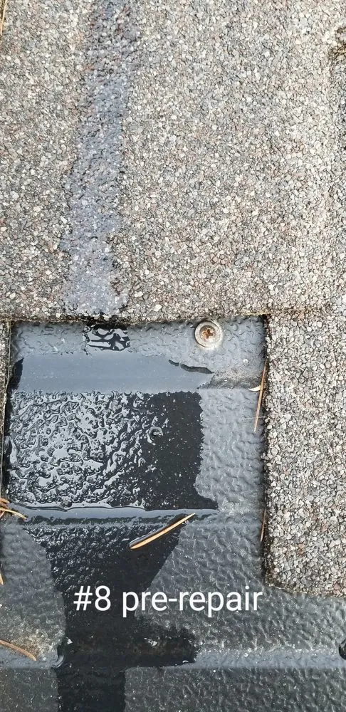 Slide of Gutter Helmet by Harry Helmet