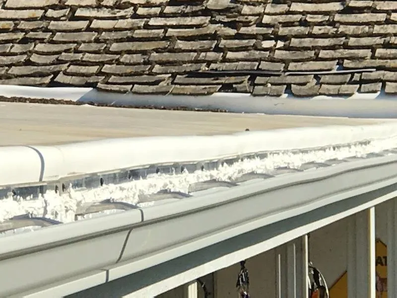 Slide of Gutter Kings