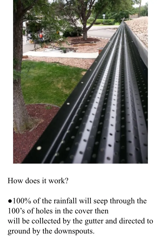 Slide of Gutter Mafia