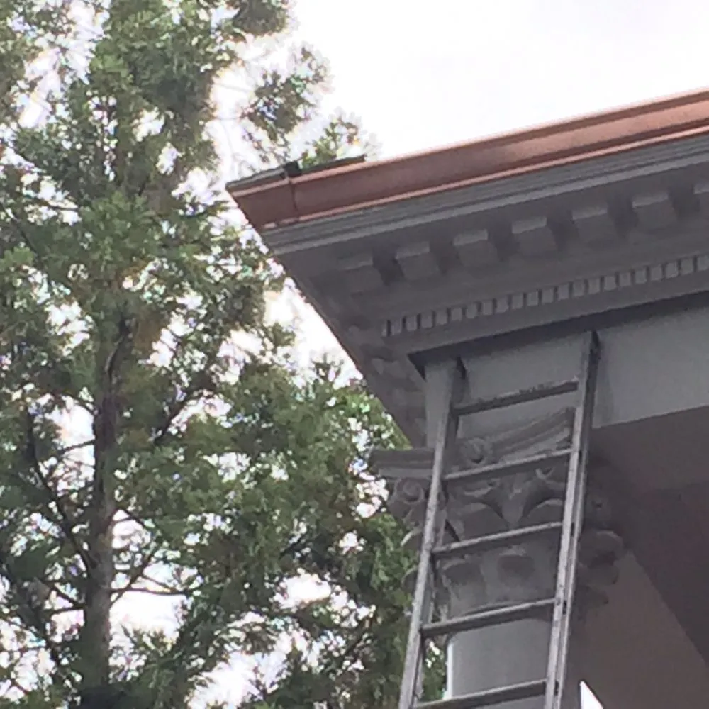 Slide of Gutter Mafia