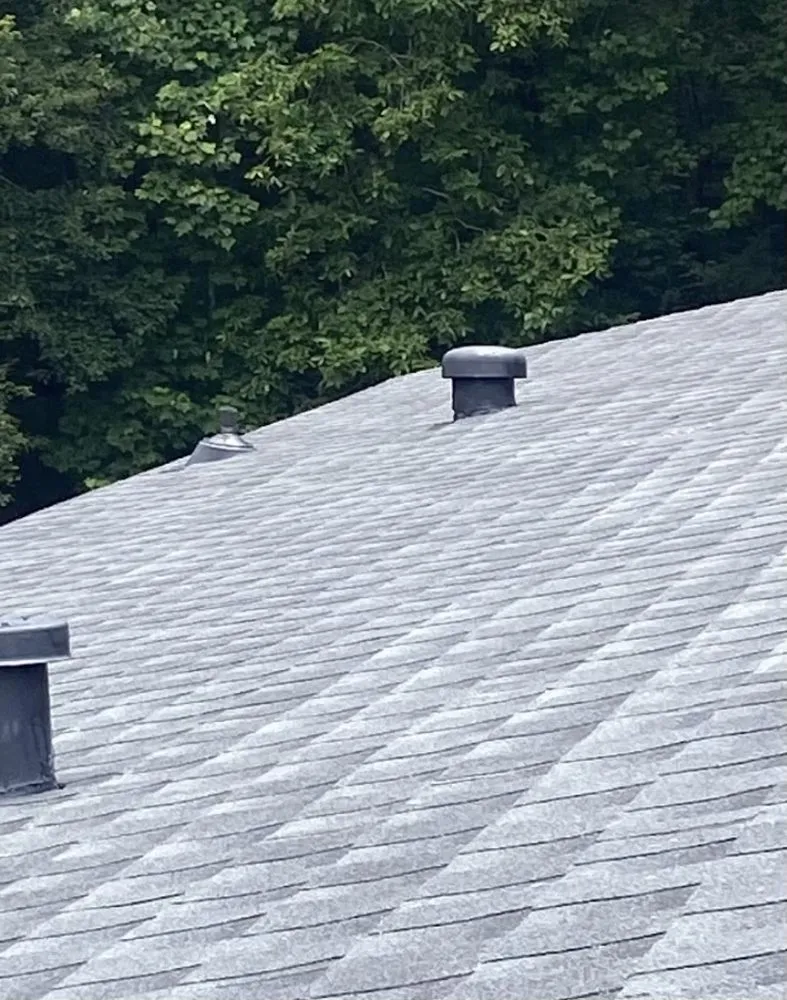 Slide of Gutter Mafia