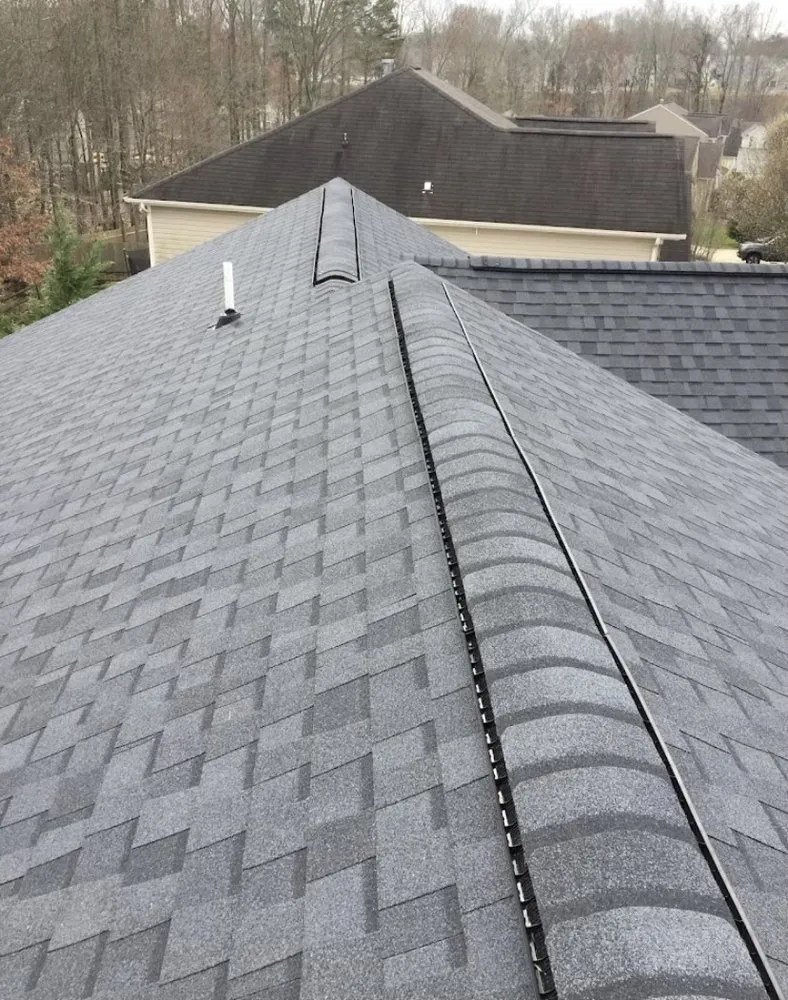 Slide of Gutter Mafia