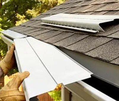 Slide of Gutter Mafia