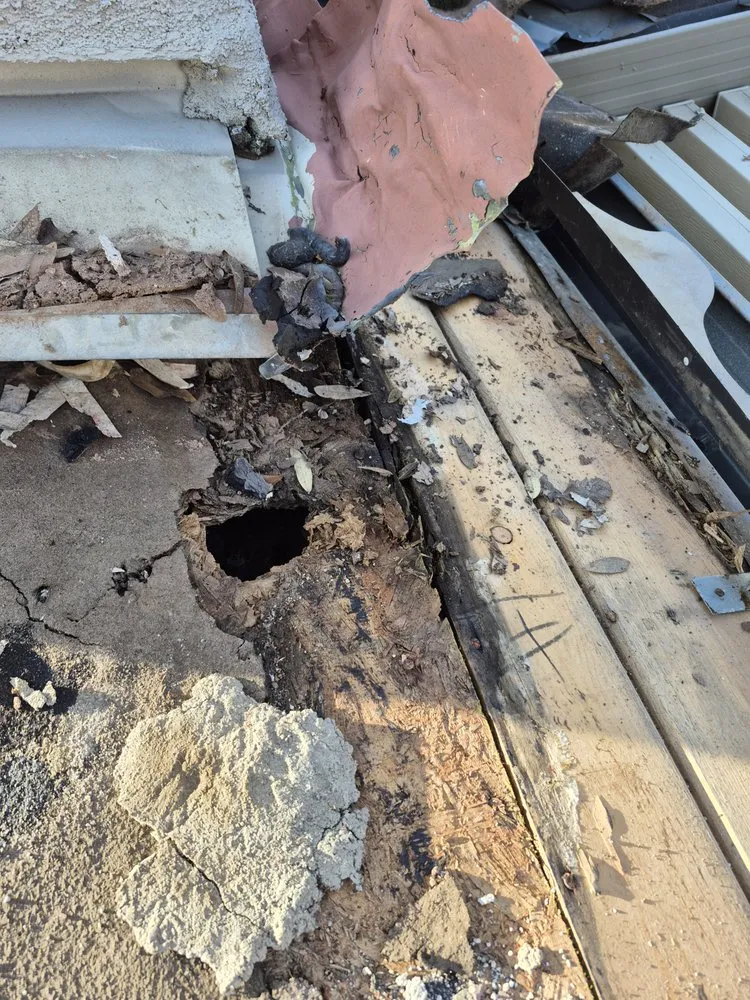 Slide of Gutter Shield Gutter Guards