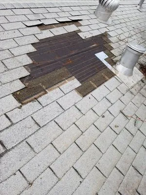 Gutter Shield Gutter Guards