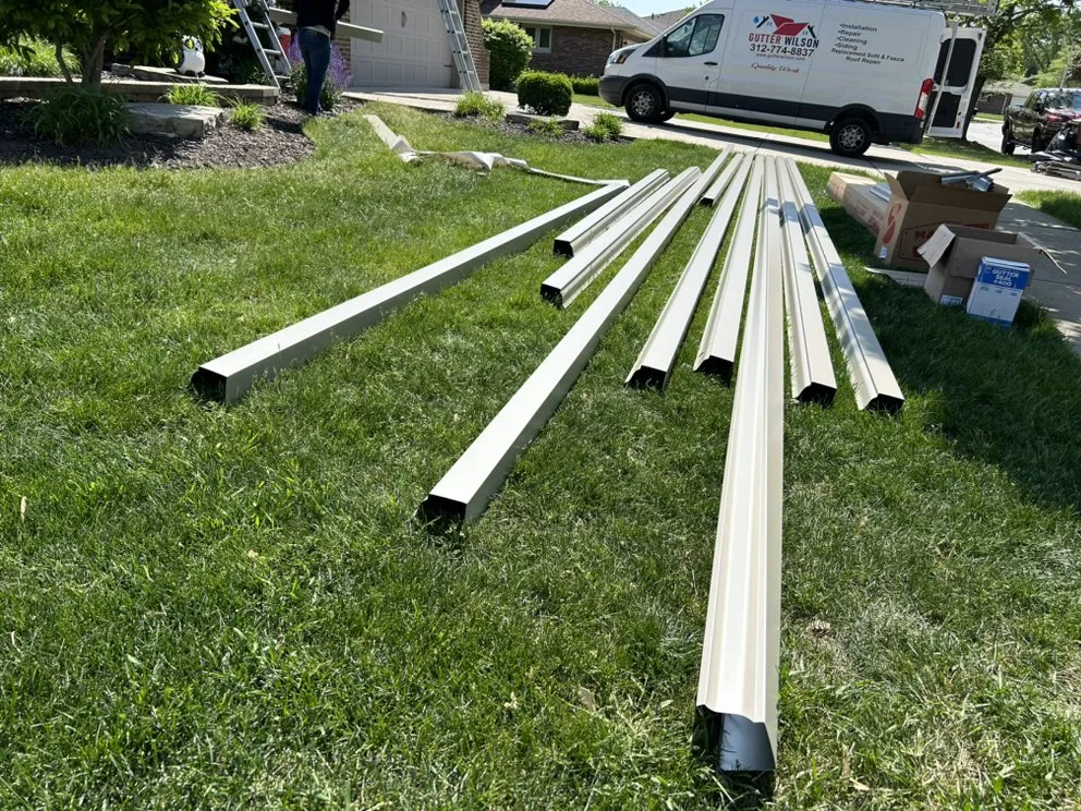 Slide of Gutter Wilson