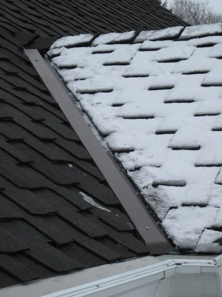 Slide of Gutterglove of Wisconsin