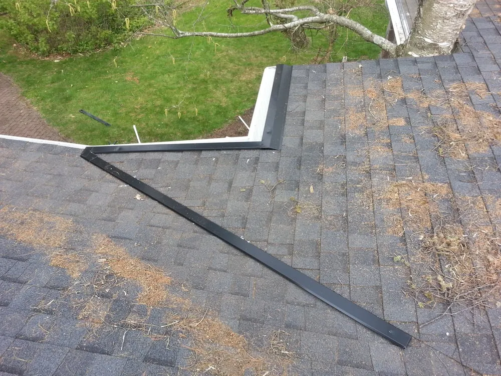 Slide of Gutterglove of Wisconsin