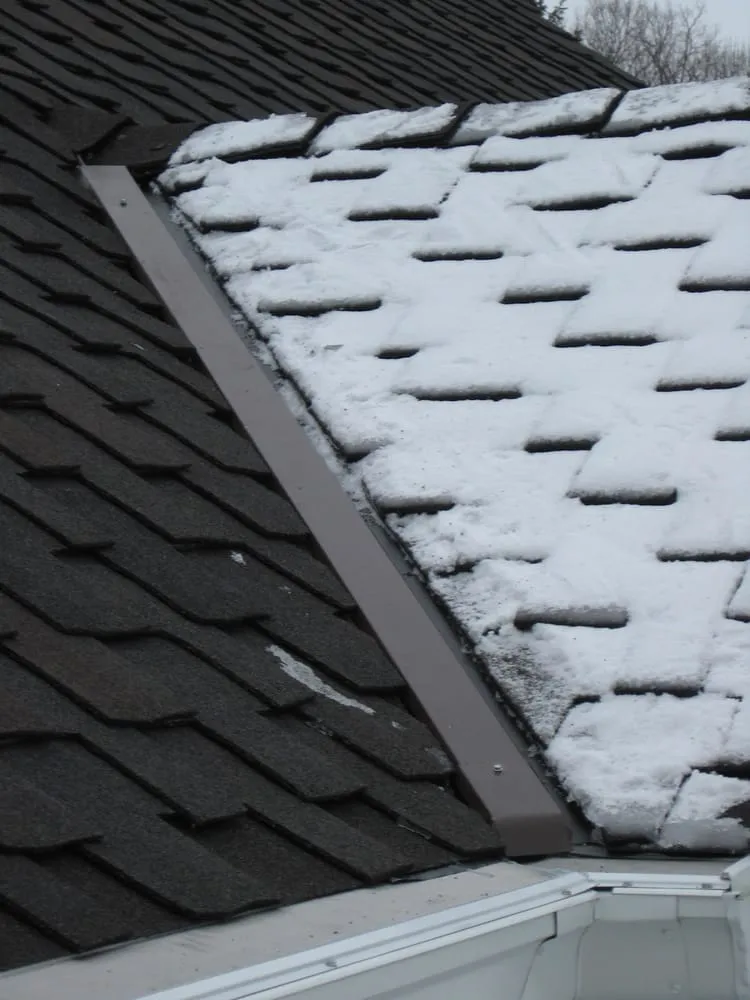 Slide of Gutterglove of Wisconsin