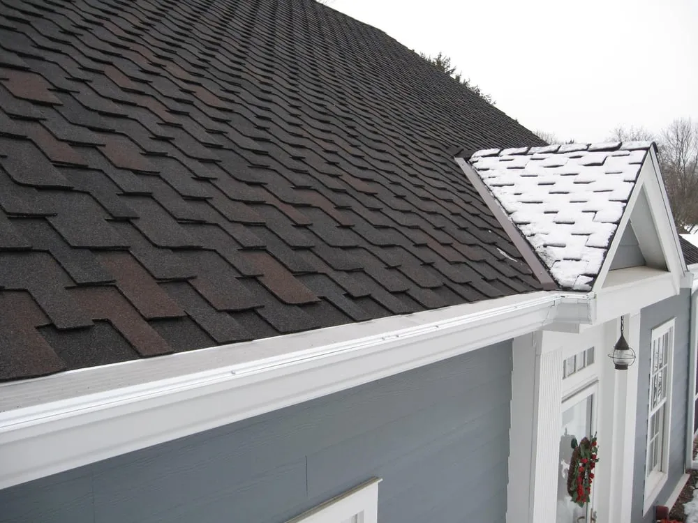 Slide of Gutterglove of Wisconsin