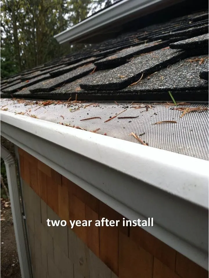 Slide of Gutterman of TN