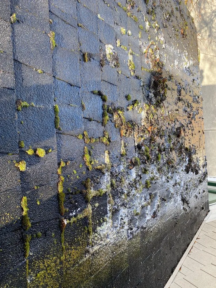 Trusted storm damage roof repair in Spokane County, WA - Gutters Be Clean