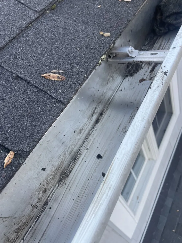 Slide of Gutters Cleaning