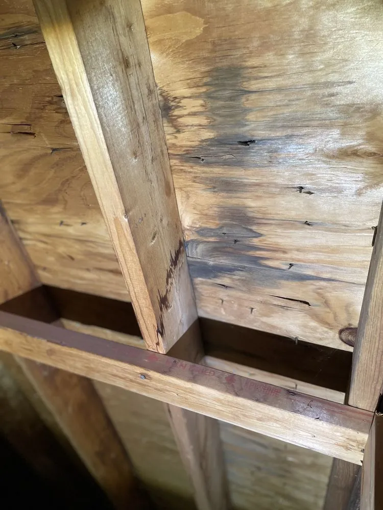 Slide of Guy Roofing