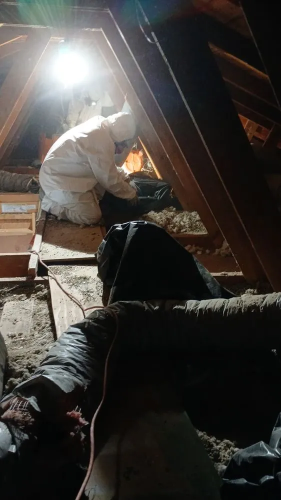 Slide of H Restoration