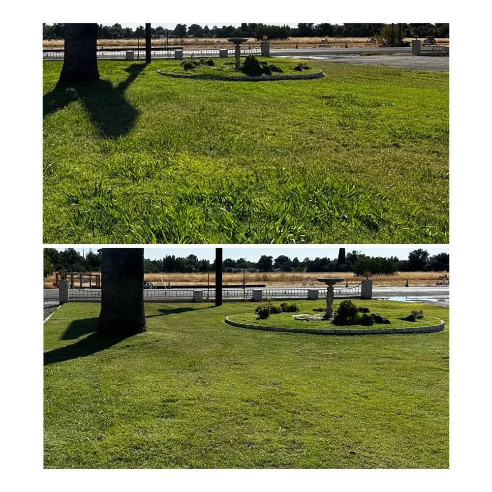 Slide of H&A Services