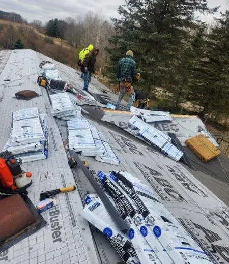 Slide of Haight N' Sons