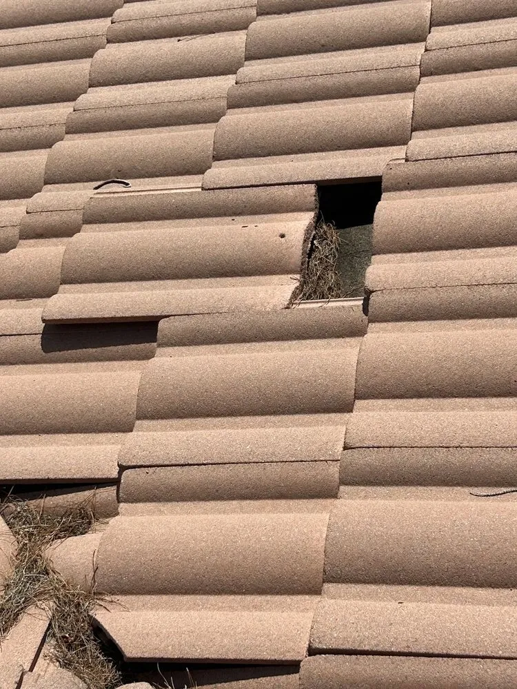 Slide of Halliday Brothers Contracting