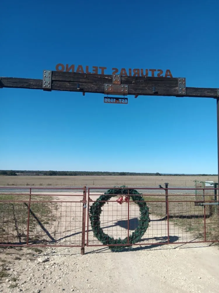 Slide of Hallum and sons Fencing and Welding