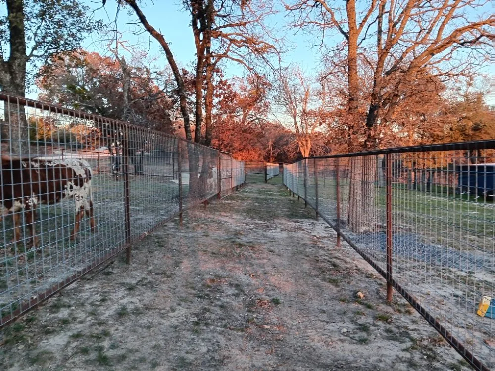 Slide of Hallum and sons Fencing and Welding