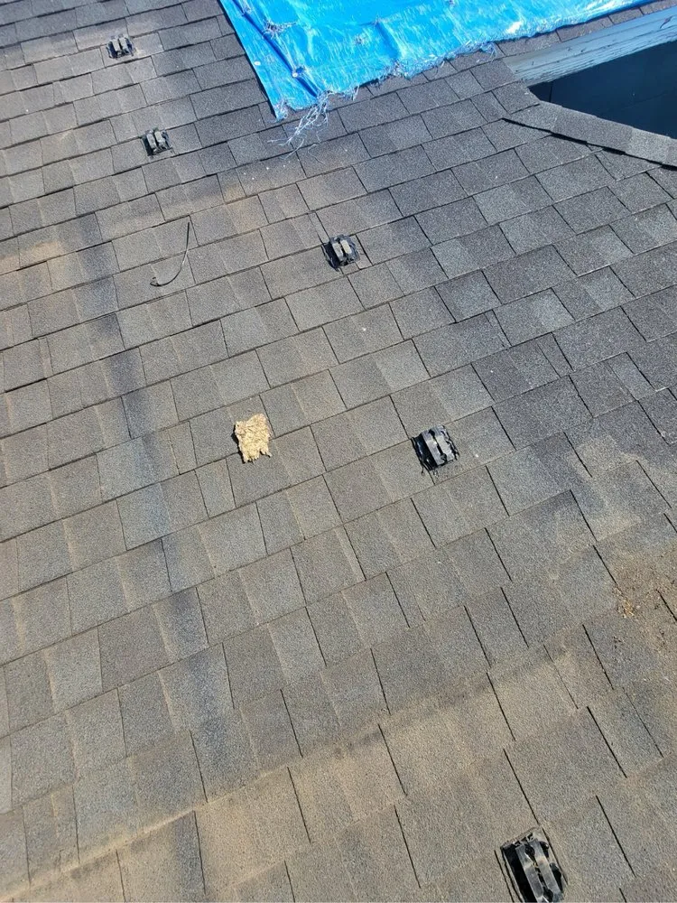 Slide of Halo Roofing