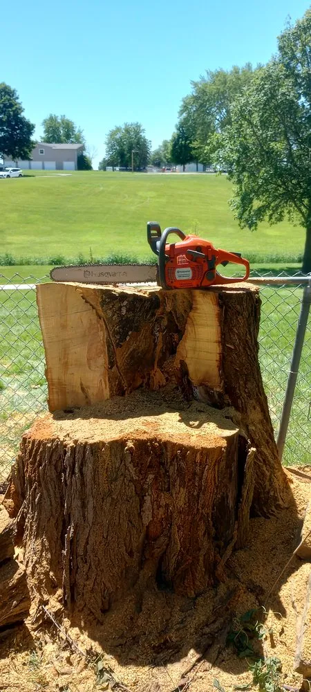 Slide of Ham Tree Service