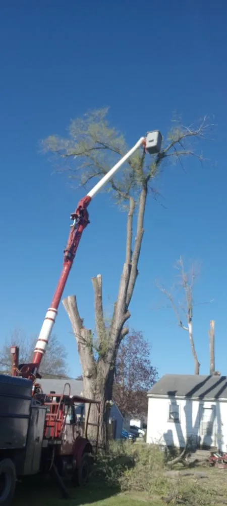 Slide of Ham Tree Service