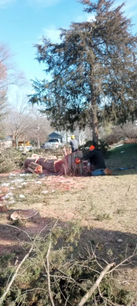 Slide of Ham Tree Service