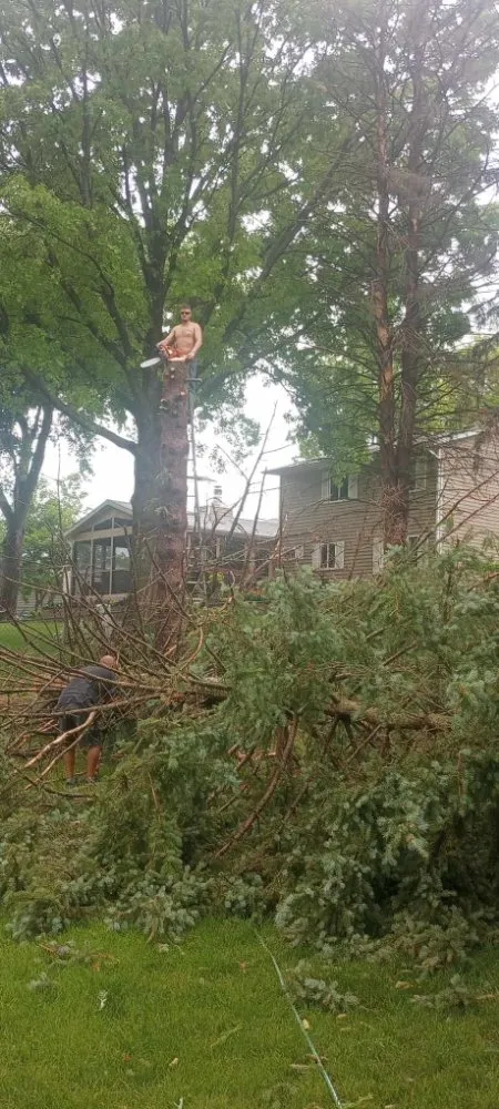 Slide of Ham Tree Service