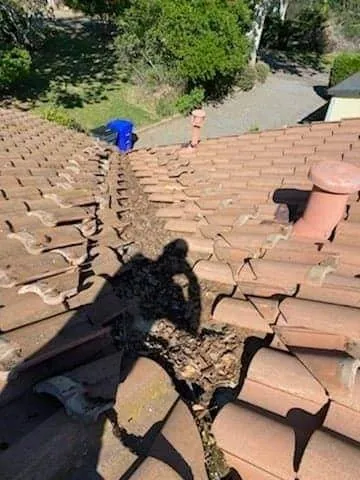 Slide of Hamilton Roofing