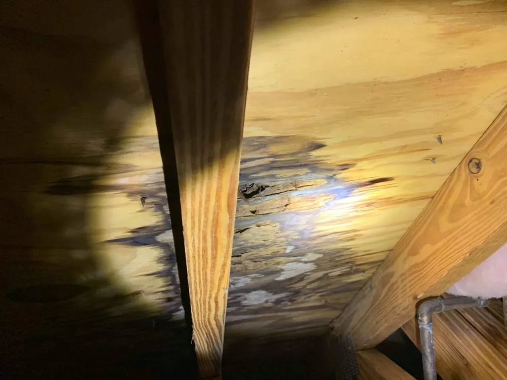 Slide of Hammer Roofing and Restoration