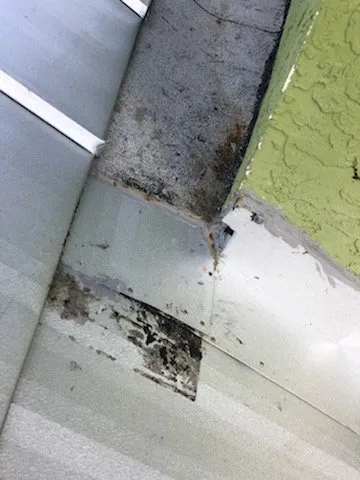 Slide of Hammer Roofing and Restoration