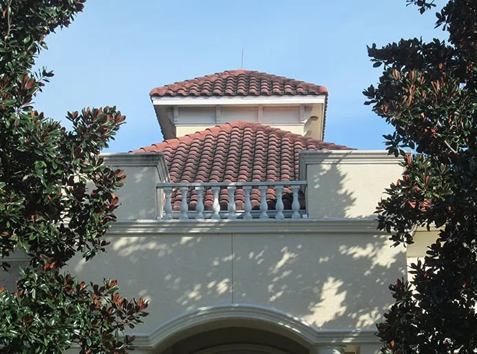 Professional roof leak repair same-day service across Tampa Bay, FL - Hammerhead Roof and Structure Softwash