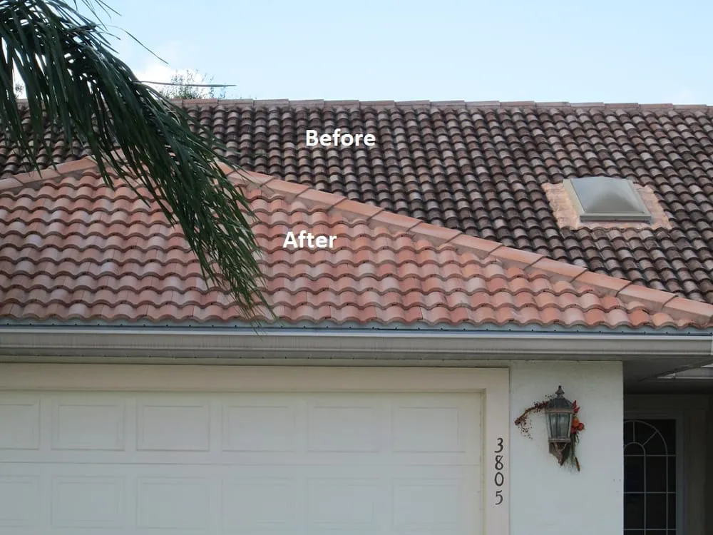 Licensed roof repair in Tampa Bay, FL by Hammerhead Roof and Structure Softwash