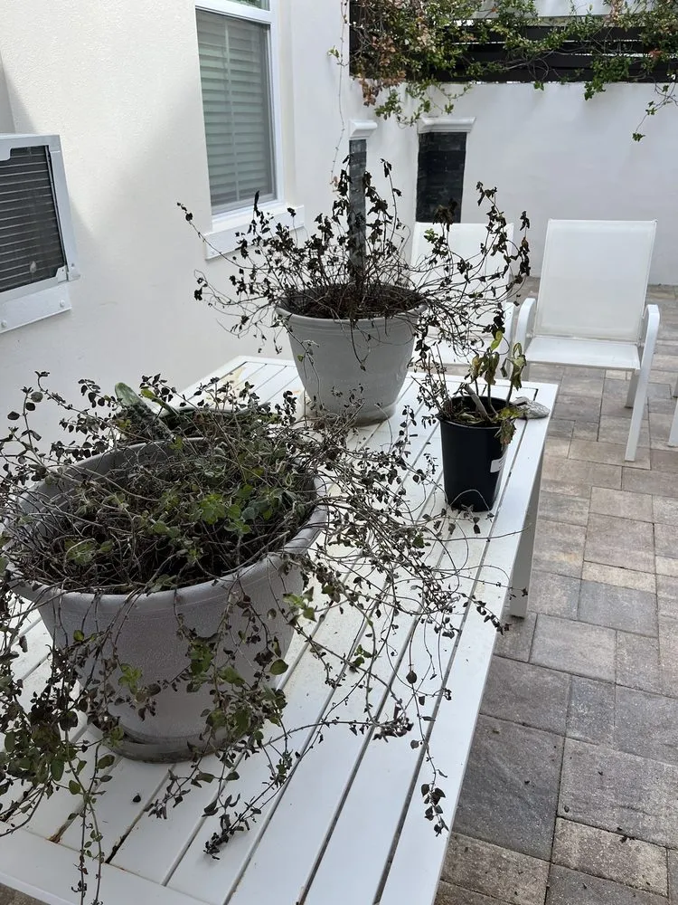 Local metal roofing installation experts serving Tampa Bay, FL - Hammerhead Roof and Structure Softwash