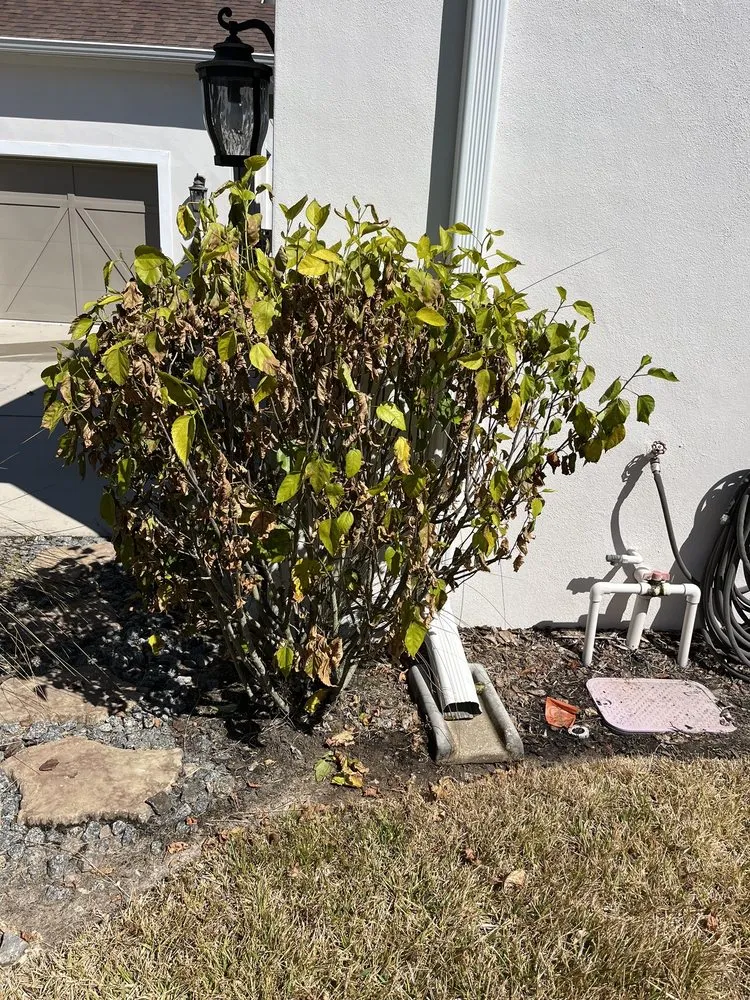 Reliable flat roof repair after storm damage across Tampa Bay, FL - Hammerhead Roof and Structure Softwash