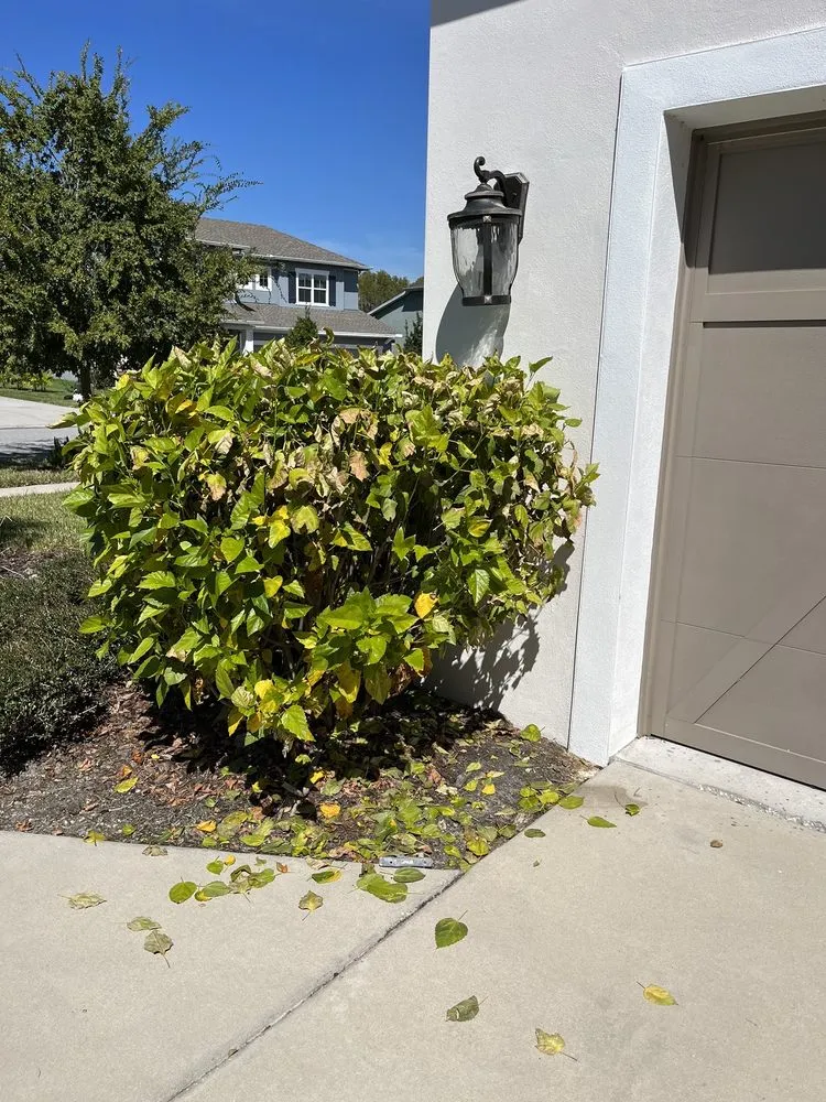 Reliable metal roofing installation same-day service in Tampa Bay, FL by Hammerhead Roof and Structure Softwash