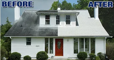 Expert roof leak repair experts serving Tampa Bay, FL - Hammerhead Roof and Structure Softwash