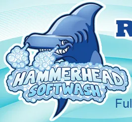 Local roof repair with free inspection across Tampa Bay, FL - Hammerhead Roof and Structure Softwash
