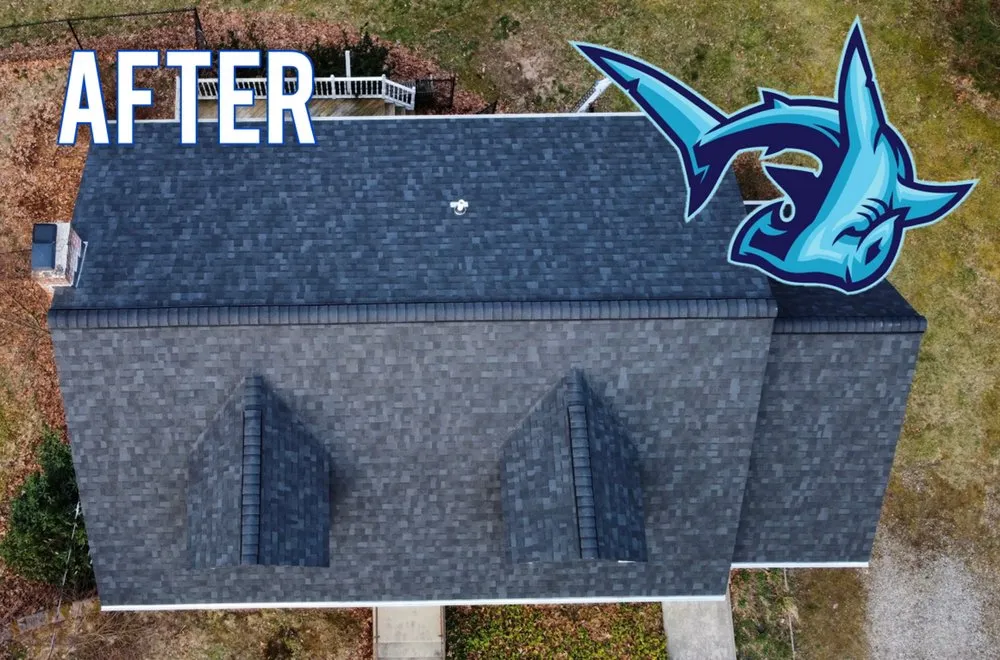 Slide of HammerHead Roofing