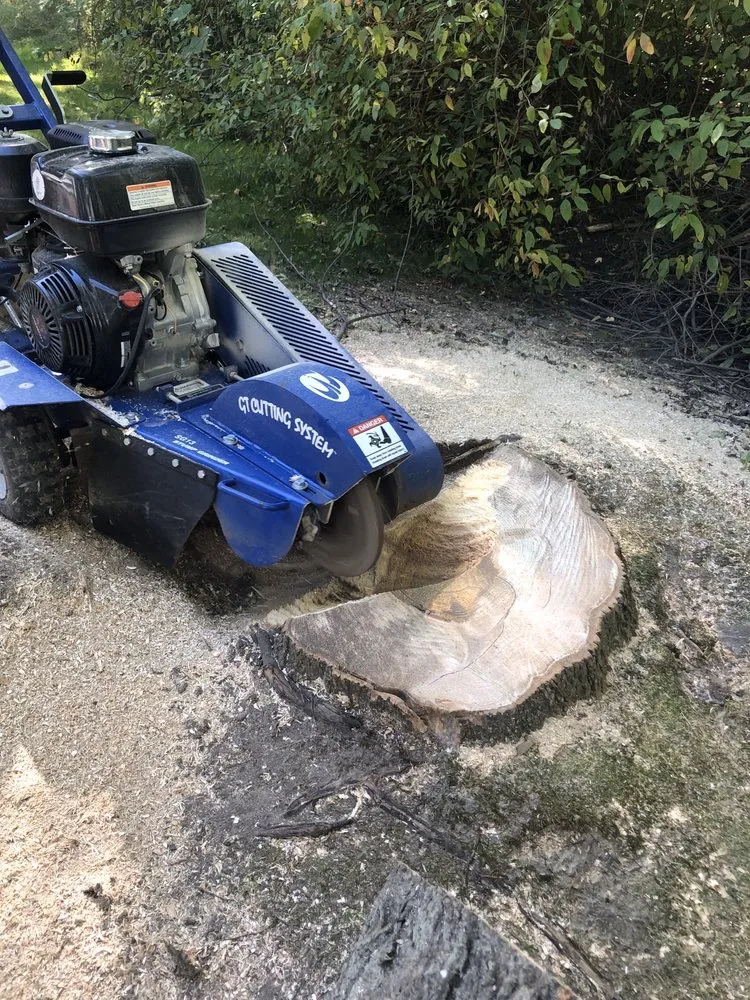 Slide of HammerTime Contracting