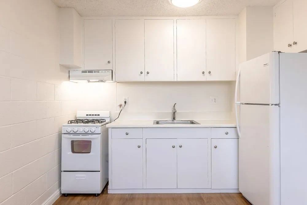 Slide of Hana Ho Painting